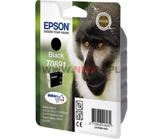 Epson Tusz Czarny EPSON T0891 (T0891) - 1409531 - zdjęcie